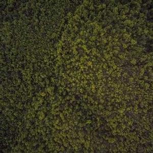 product-electronic